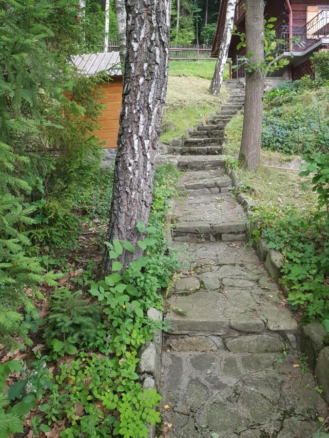 Villa Gniewnik Pcim Exterior foto